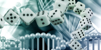 Casino DNA