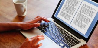 Essay Writers Online