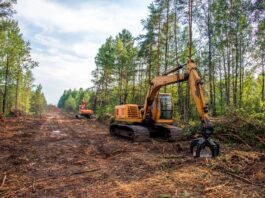 Unveiling the Hidden Benefits: 6 Reasons Land Clearing is Essential