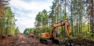 Unveiling the Hidden Benefits: 6 Reasons Land Clearing is Essential