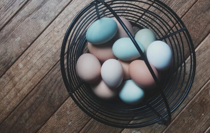 Colorful Eggs in A Basket. Depiction of A Diversified Portfolio